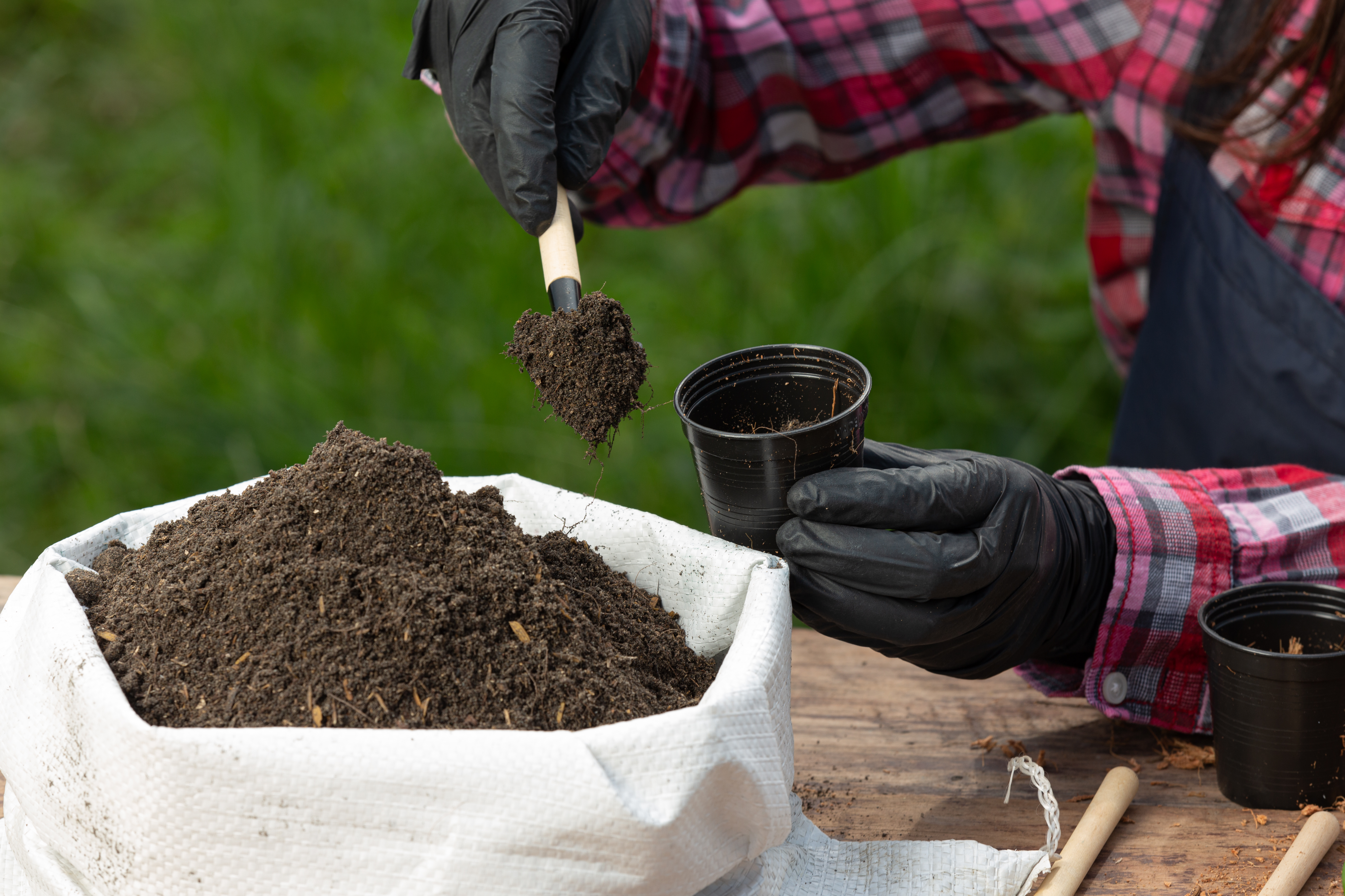 Garden Soil Enrichment